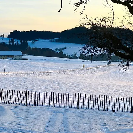 Genau So - Allgaeu! Sau Gemuetlich Maierhöfen