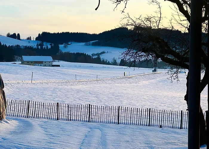 Genau So - Allgaeu! Sau Gemuetlich Maierhöfen
